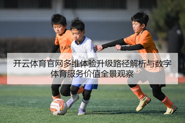 开云体育官网多维体验升级路径解析与数字体育服务价值全景观察